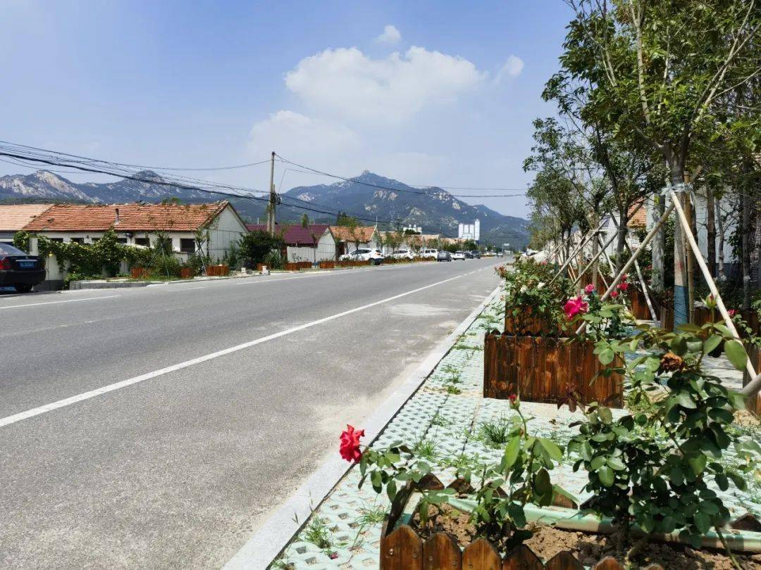 文明共建 | 日照市五莲县街头镇:居住环境增"颜值" 幸福生活再提质_美