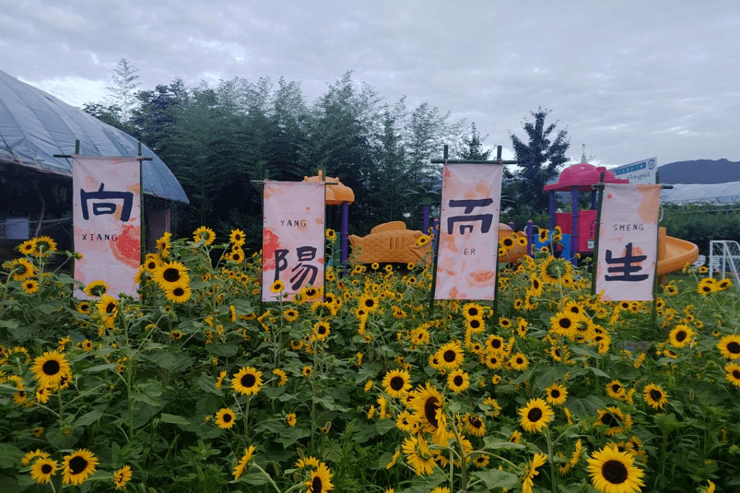 金陵寺镇熊耳山村陶艺体验入选省级秋季乡村休闲旅游行