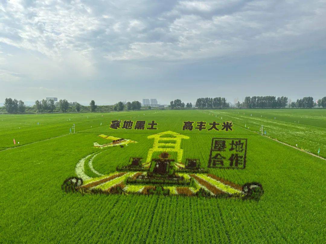 看红兴隆"二次创业"如何引发多"变"效应_北大荒_服务_农业