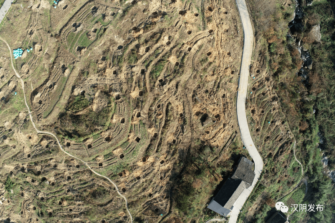 动态丨汉阴县漩涡镇:苏陕协作刚出"金"叶又结硕果_发展_凤村_项目