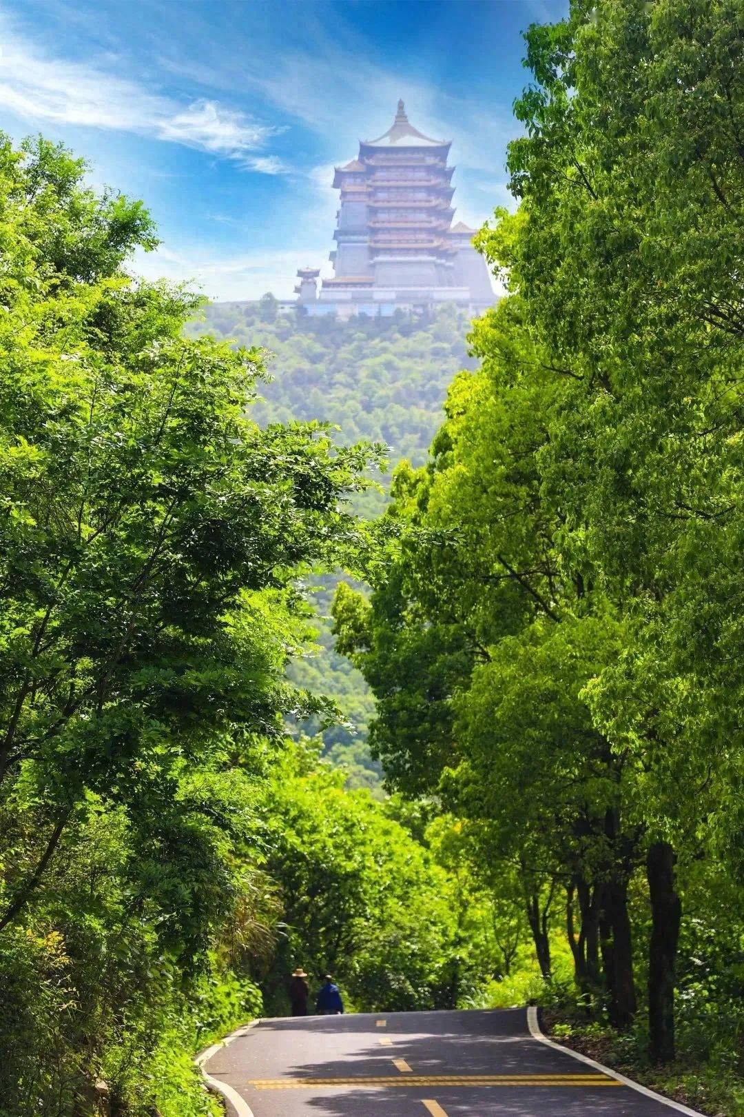 远安县拈花谷景区,阳县向王寨风景区免门票