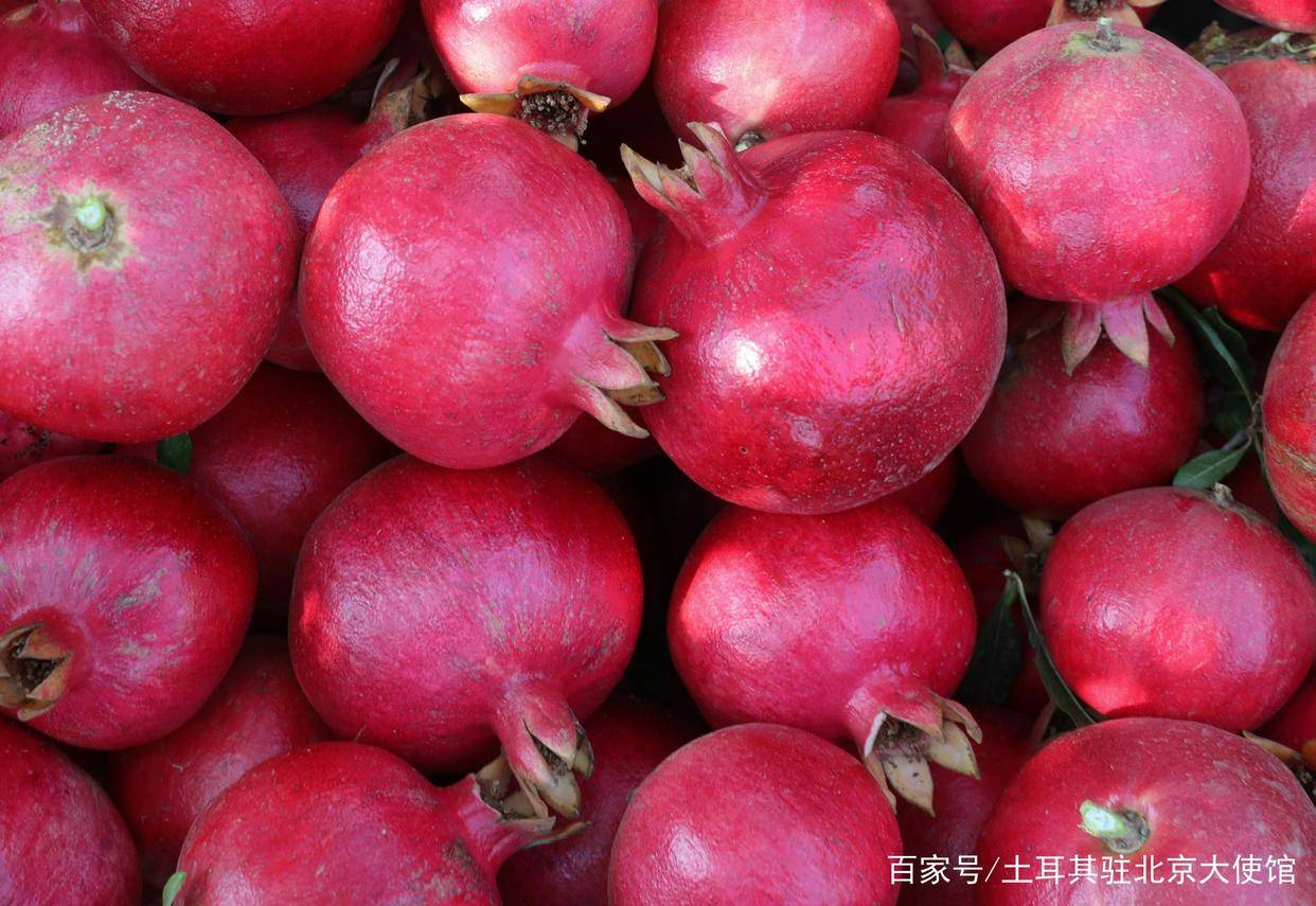 石榴：土耳其菜中的天堂之果_搜狐网