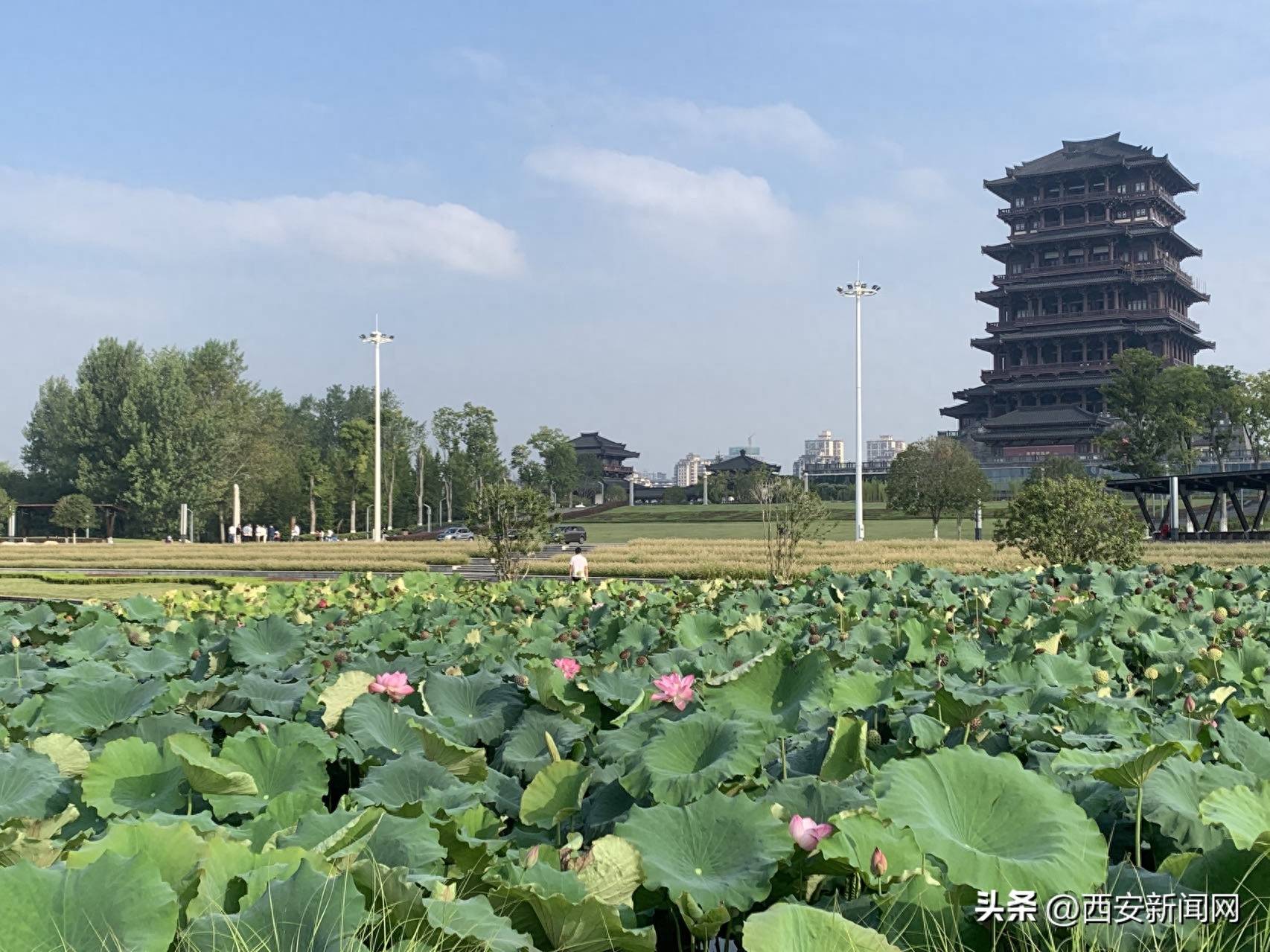 "品三国文化 赏秋日橘韵"体验之旅行程包括汉中市博物馆,汉台区花果山