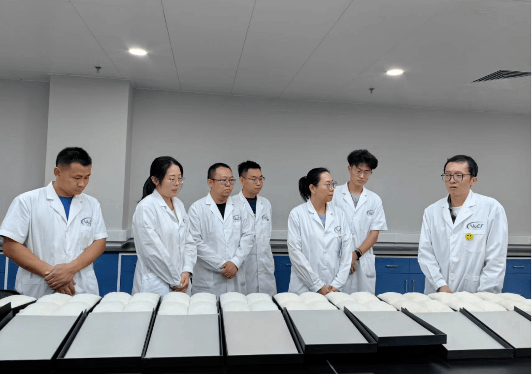 夯实棉花公检业务能力 提升公检团队综合素质——内蒙古纤维质量监测中心入疆棉花公检团队岗前培训