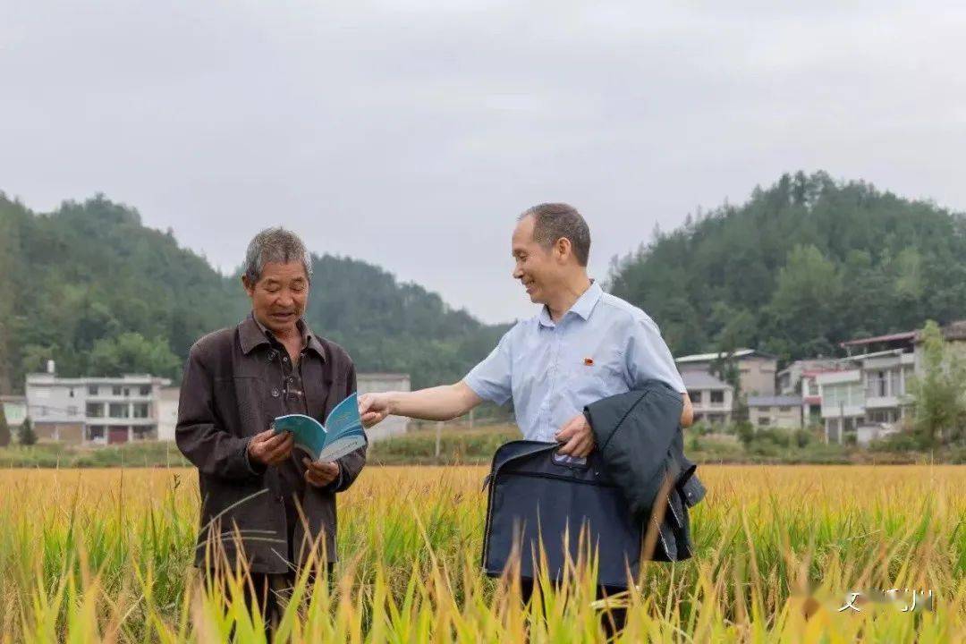 雷紅兵,男,利川人,1967年出生,中共黨員,現任利川市司法局柏楊壩司法