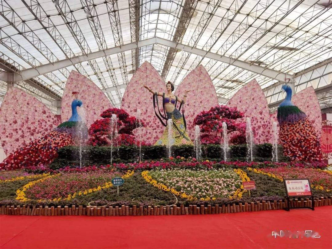包含青州花卉博览会日期的词条 包罗
青州花草
展览会
日期的词条（包罗青州花草展览会日期的词条有哪些） 花卉