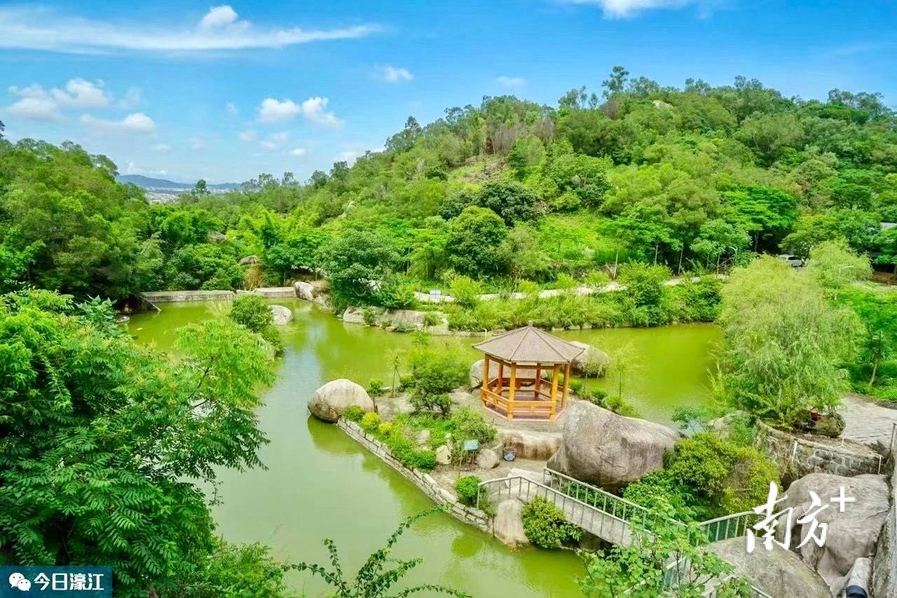 青云岩风景区,坐落于大瞭望山,林木茂盛,山径通幽,错峰交叠的山峦拥护