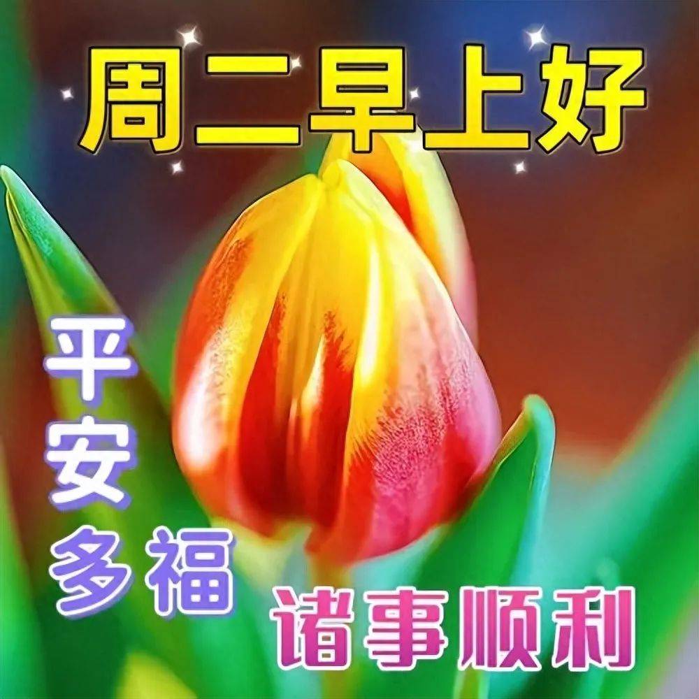 周二最新早上好祝福表情包精选,愿你好运常在,天天开心