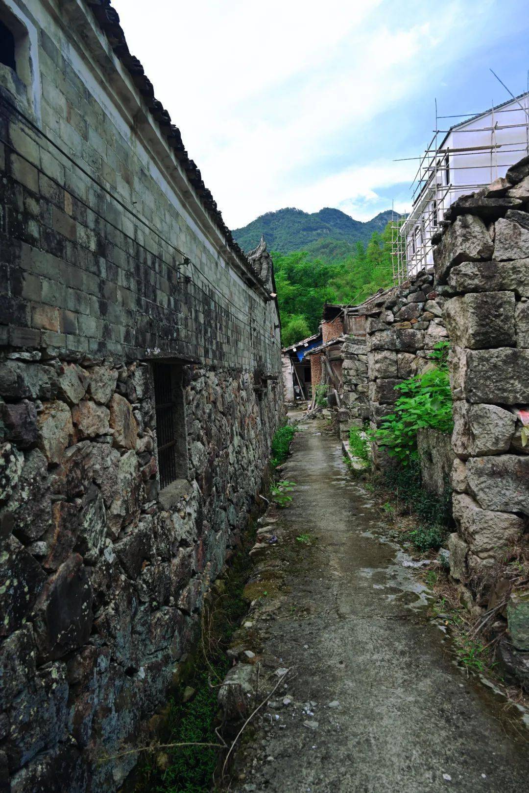 天台县三合镇栗树园村在宝华寺下,还保留着一些老房子,但也不多了.