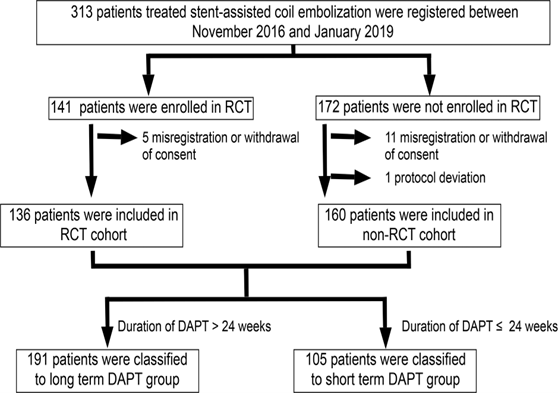 jnis中文版丨孙雅轩教授导读:双重抗血小板治疗持续时