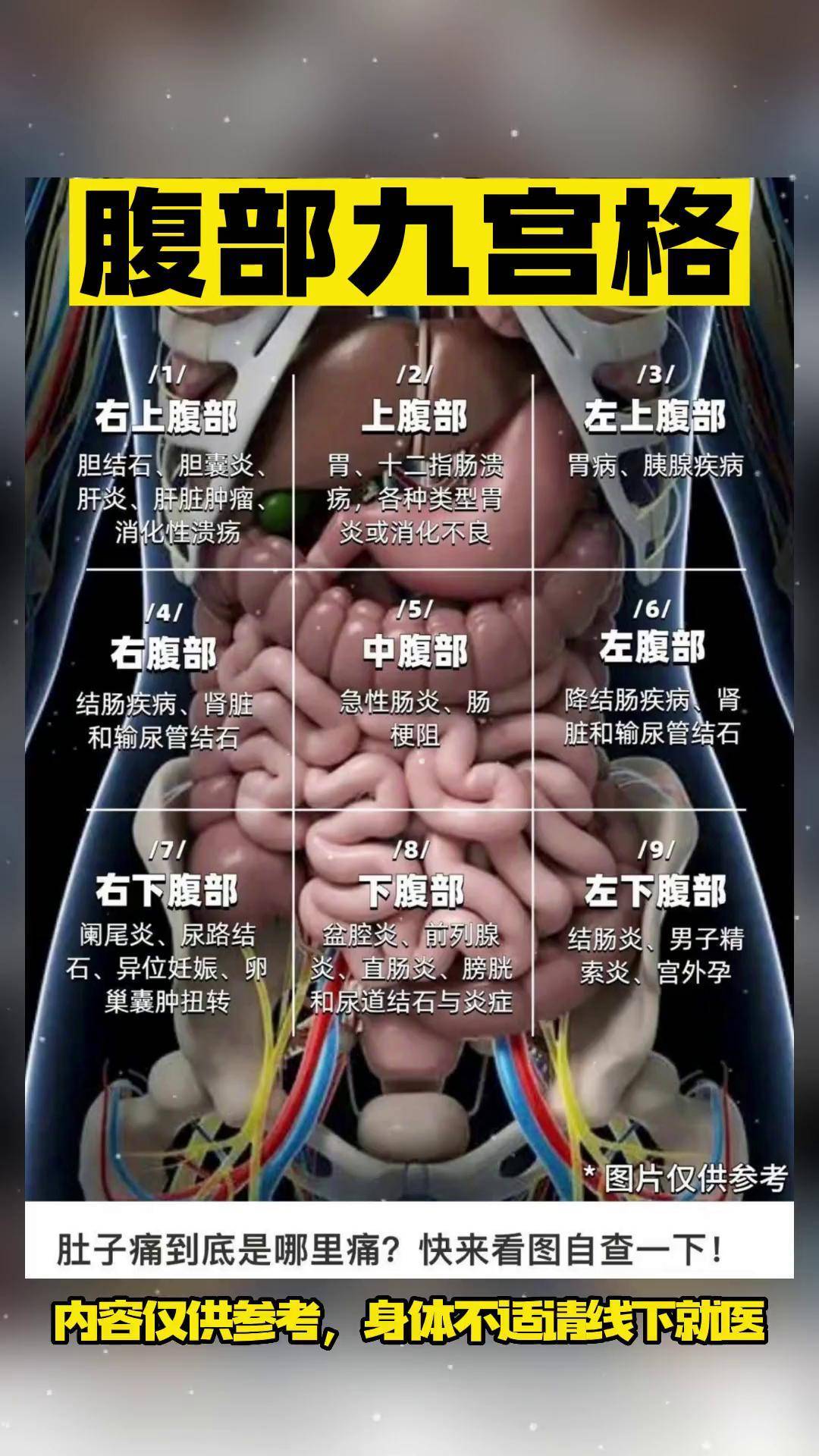 腹部九宫格 (内容仅供参考,身体不适请线下就医)护考 内容仅供参考