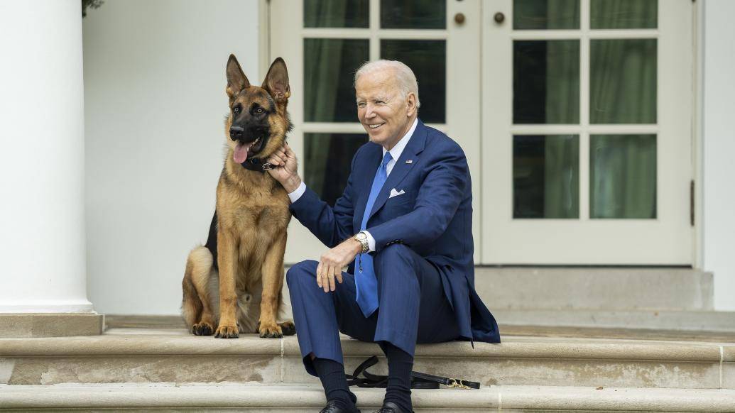 “白宫”拜登宠物犬“司令”因多次咬伤工作人员被“逐出”白宫