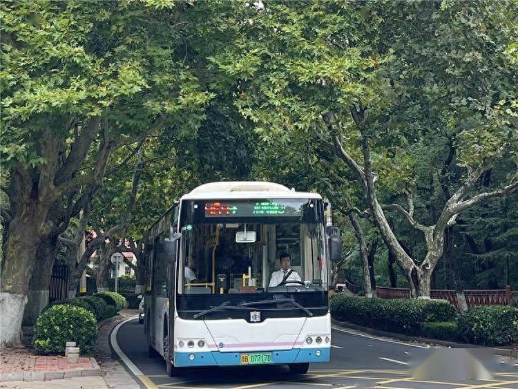 秋意浓 青岛温馨巴士赏桂攻略请收好_桂花_车厢_乘客