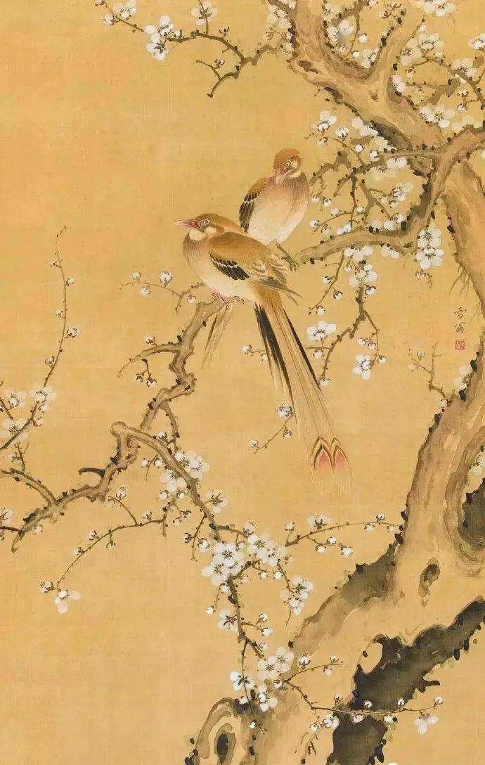 【中华文化】陈之佛花鸟画 美出了新高度