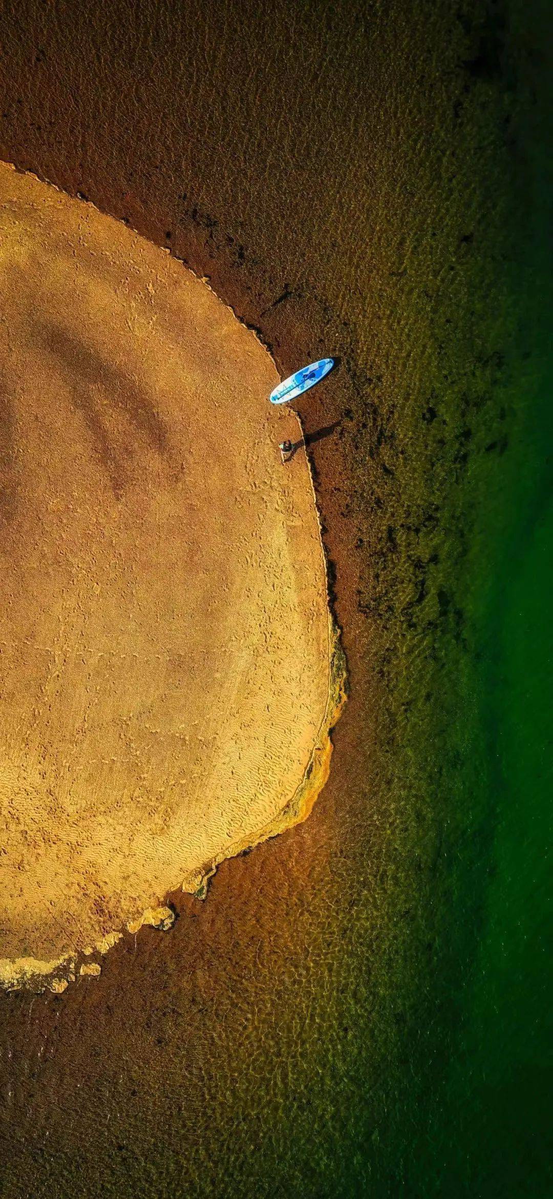 壁纸 丨高飞远航 人生无畏_侵权_版权_图片