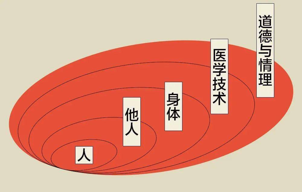 生命哲学课程收获(生命哲学课程收获与感悟)