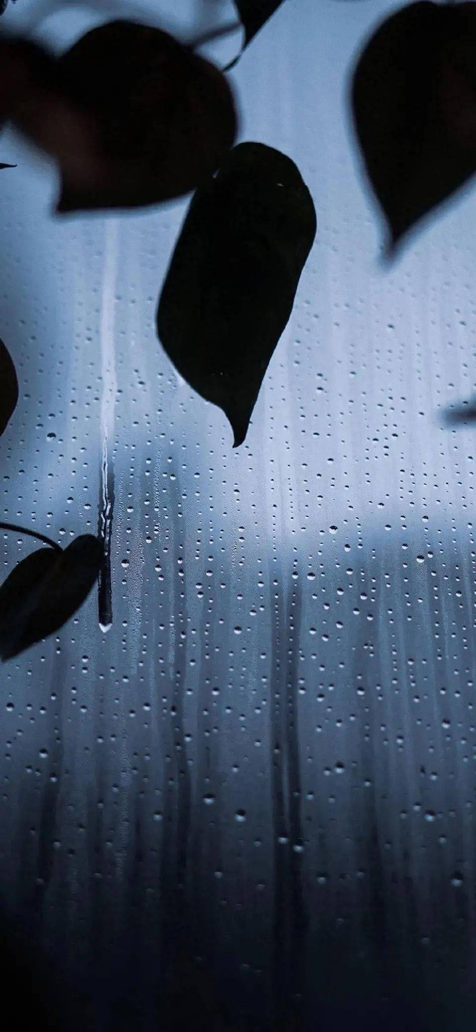 想像一群哭泣的落难者秋雨在窗外淅淅沥沥编辑:墨 梅朗诵:闫晨鸽作者