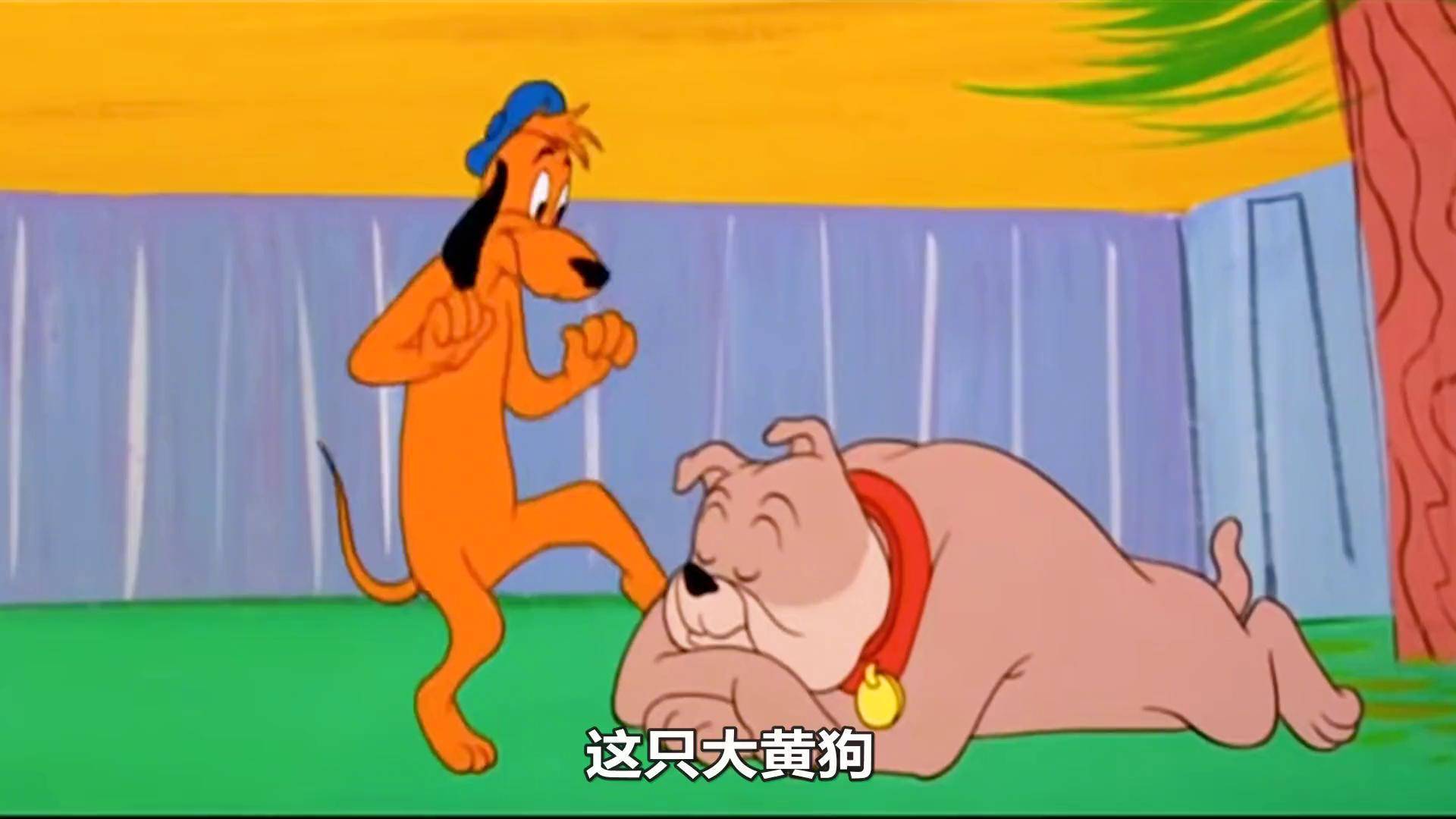 猫和老鼠 动画解说 怀旧动画