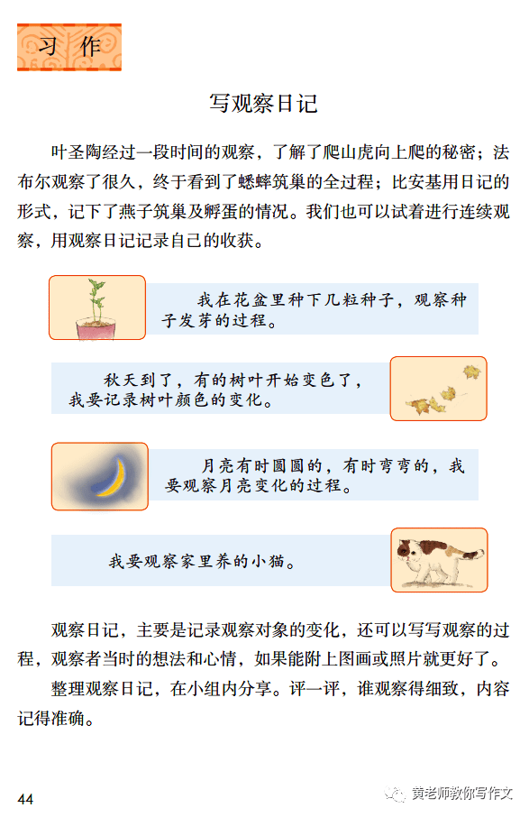 部编版语文四年级上册第三单元习作《观察日记》写作指导_颜色_形状_西瓜