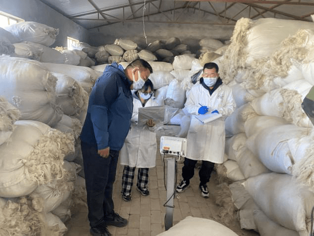 技术推动 服务羊绒产业——内蒙古纤维质量监测中心全面启动2023年自治区山羊绒收储公证检验工作
