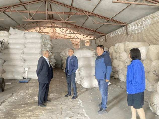技术推动 服务羊绒产业——内蒙古纤维质量监测中心全面启动2023年自治区山羊绒收储公证检验工作