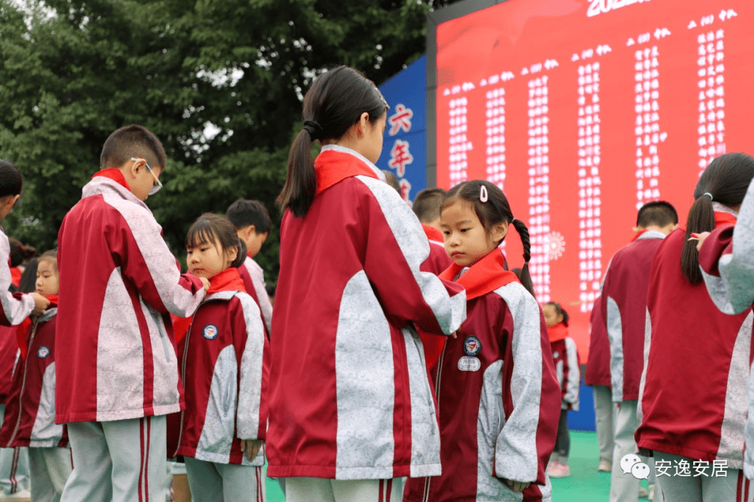 今天做好队员、明天做好团员、长大后做好党员！庆祝少先队建队74周年主题队会在安居举行_安居区_少先队员_红色