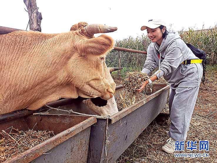 黑龙江逊克：赏北红玛瑙奇珍异石品俄罗斯民族风情_手机搜狐网