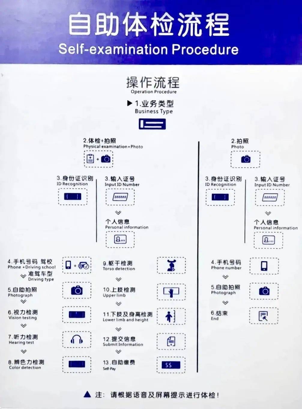 驾驶证换证流程图片