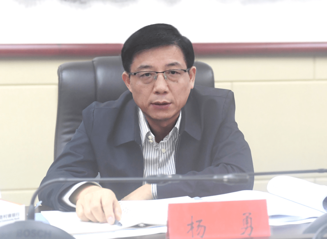 市委副书记,市长杨勇,市委副书记,政法委书记严义高,市领导张绍伟
