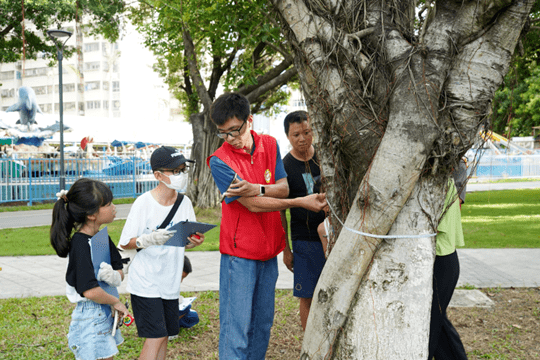 在市城区奎山公园等地,青年志愿者们当起绿美科普讲解员,带领小朋友