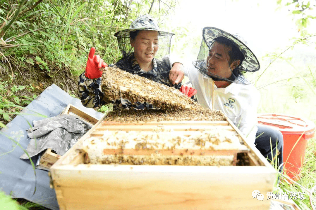 重生之卖菜致富养包子_致富经养_养驴是农村致富的好项目