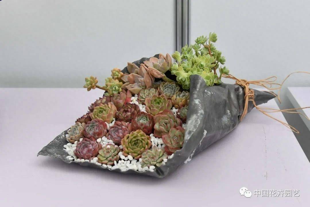 中国杯组合盆栽大赛圆满落幕 3大类比赛金奖诞生 | 动态_选手_作品
