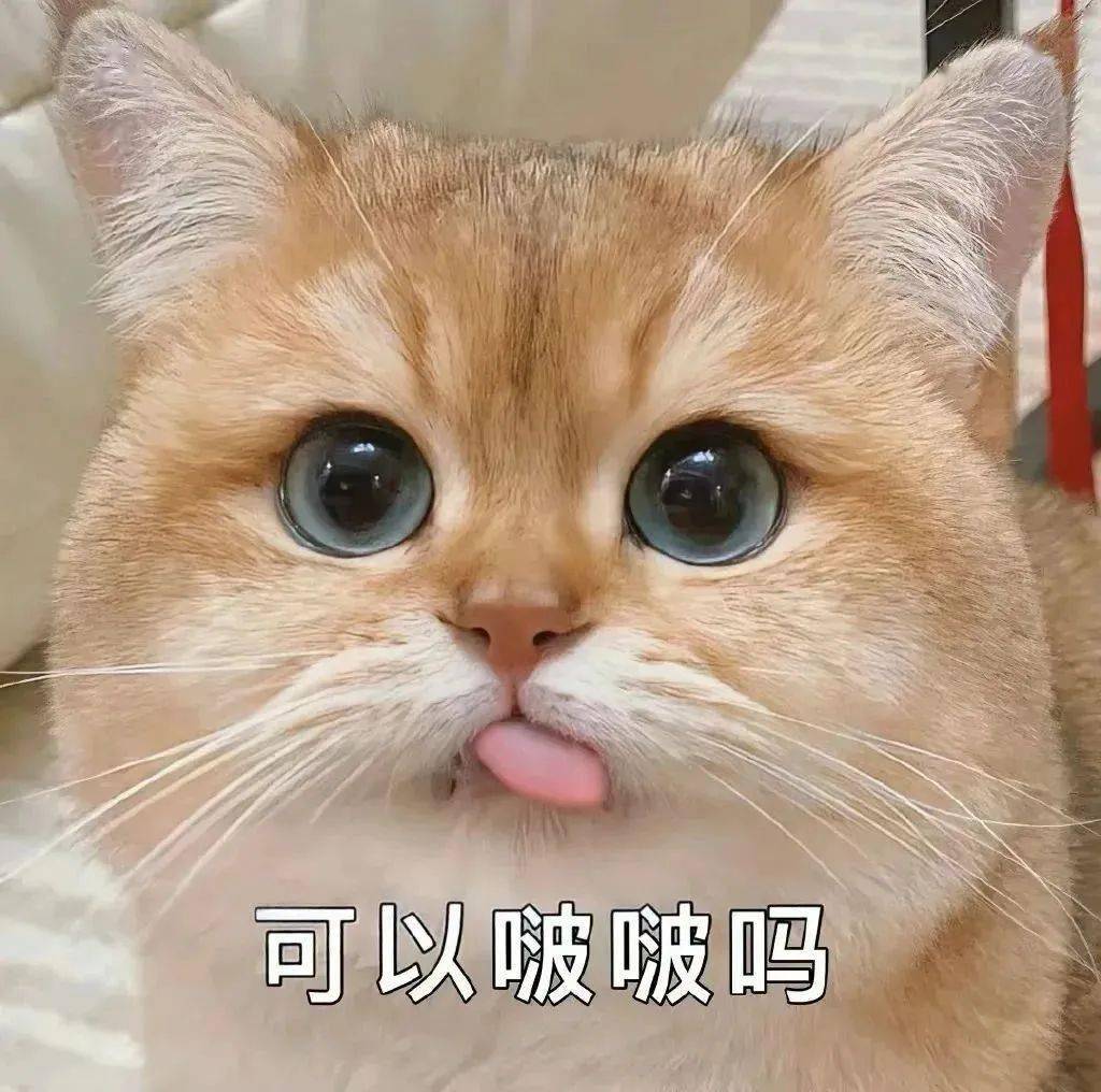 方法一:1.点击表情包放大,长按图片,直接保存到手机相册;2.