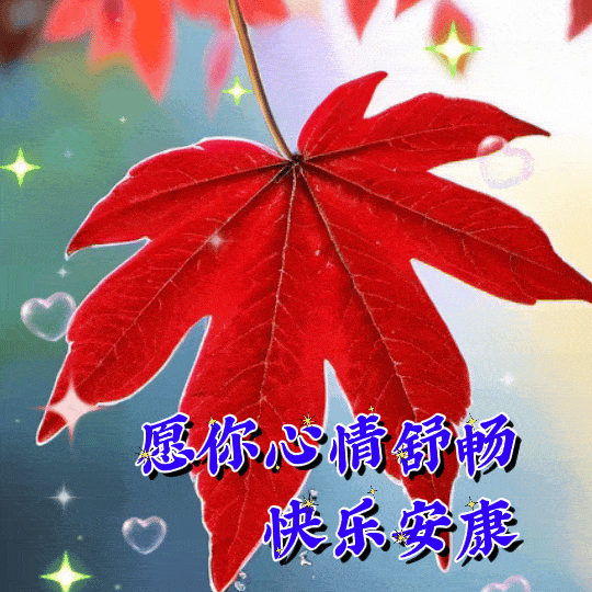 最新周末早上好表情包动态图片,愿你在秋天的周末:收获满满的快乐!