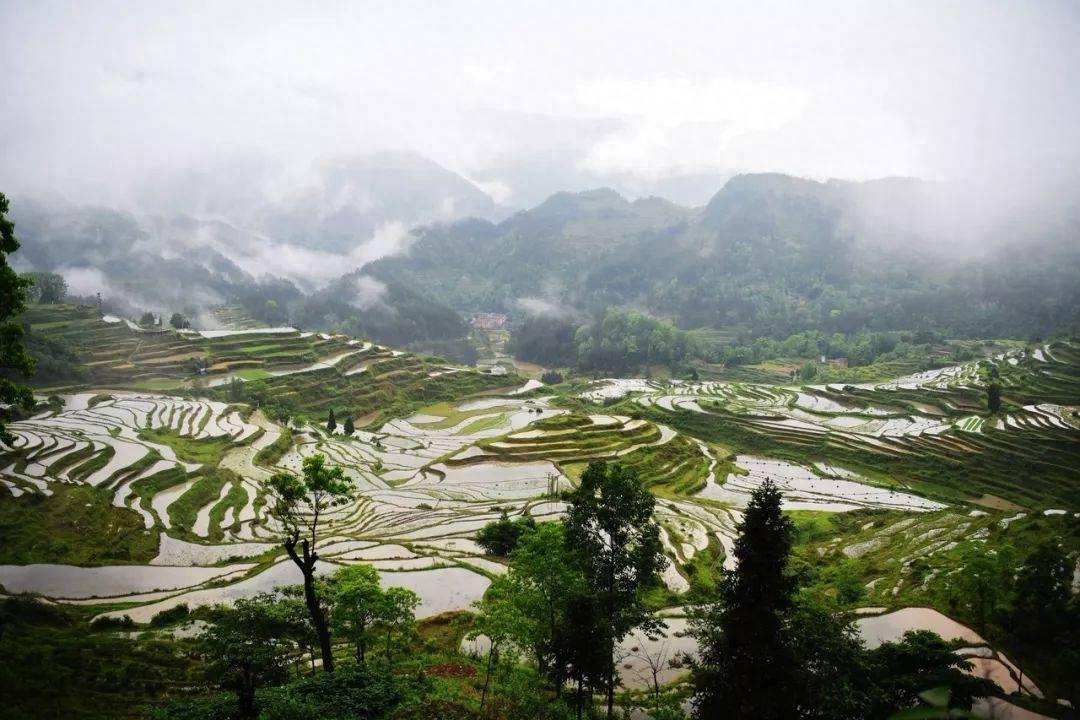 酉阳土家族苗族自治县,美得浑然天成_梯田_桃花源_吊脚楼