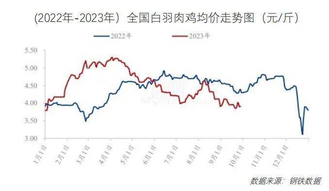 鸡鸭价格震荡下行！10月最新餐饮食材采购行情报告来了