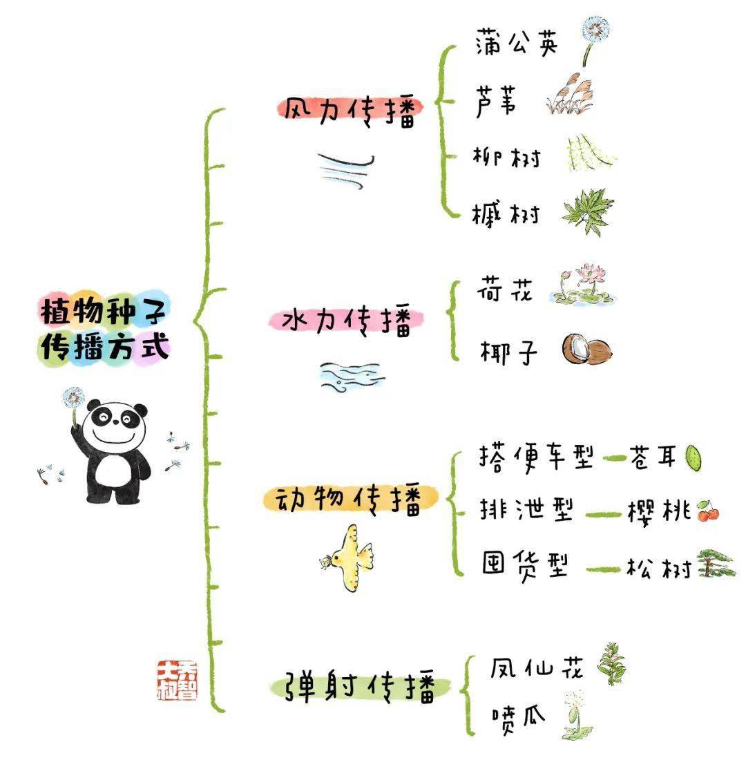 种子传播方法10种图片