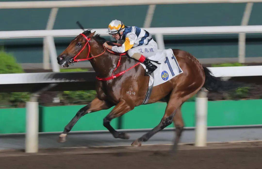 有关香港赛马会及其综合营运模式,请浏览:https://corporate.hkjc.