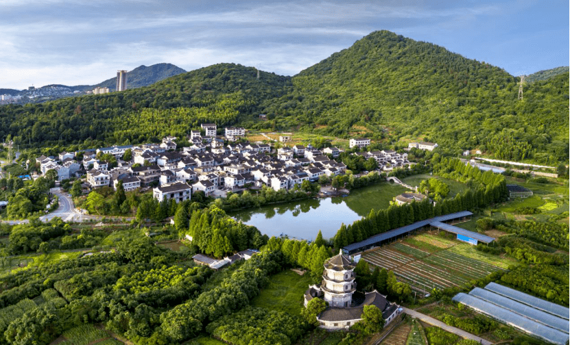 散文||梦中的小埠古村_龙潭_玫瑰花_圣人