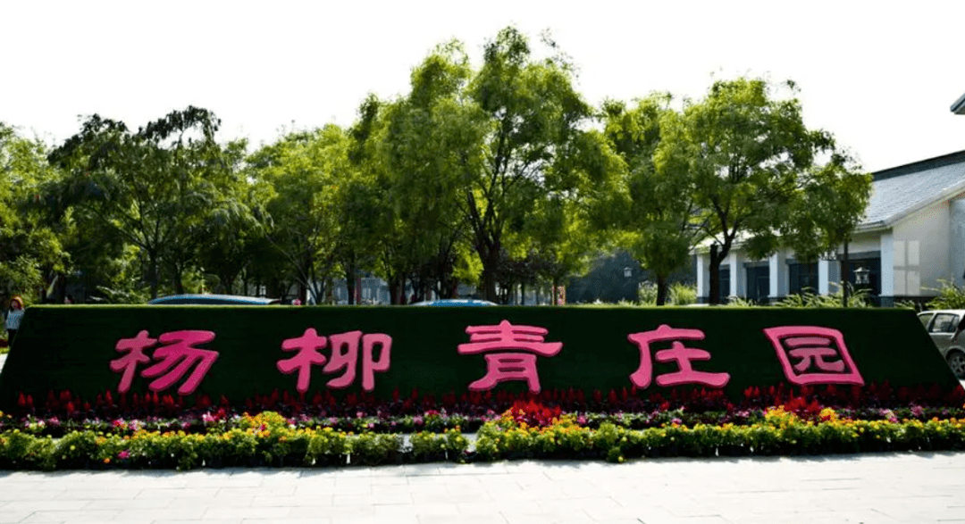 天津惠警游览专属活动之西青区_杨柳青镇_石家大院_安文忠