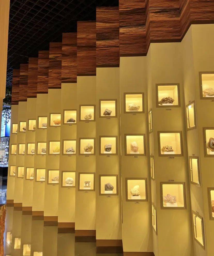 973亲子秋游,和丁然小颖一起探访柳江地学博物馆,报名送973报时宝宝