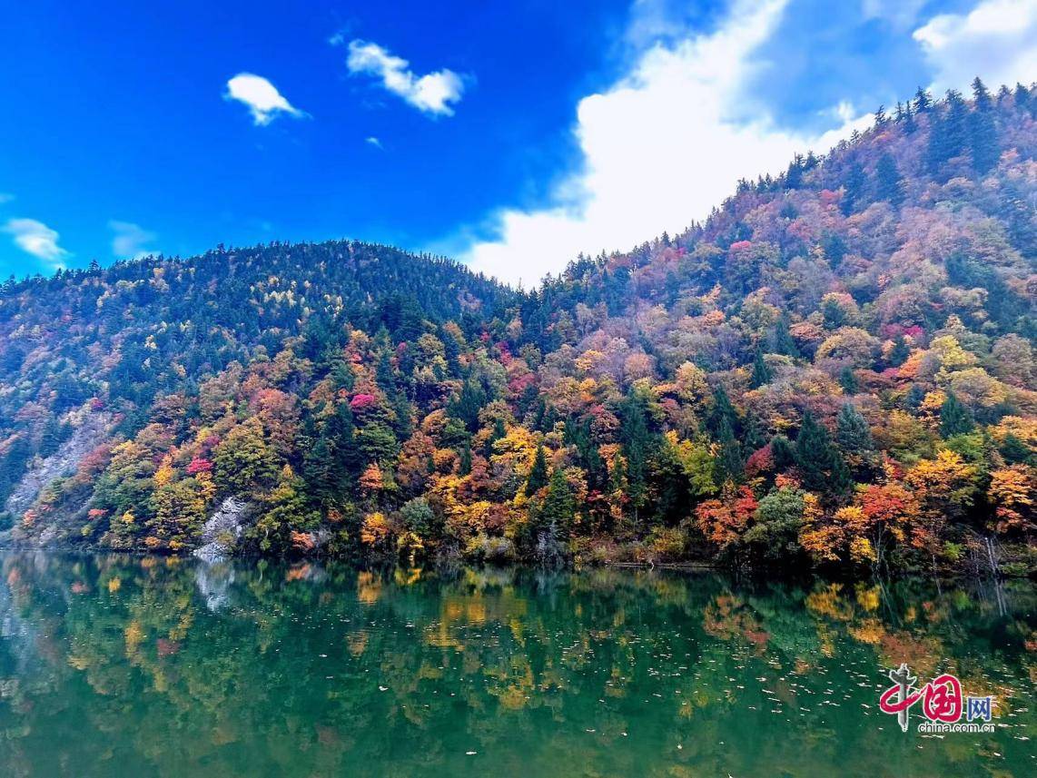 四川黑水:彩林进入最佳观赏期_黑水县_吴亮_奶子