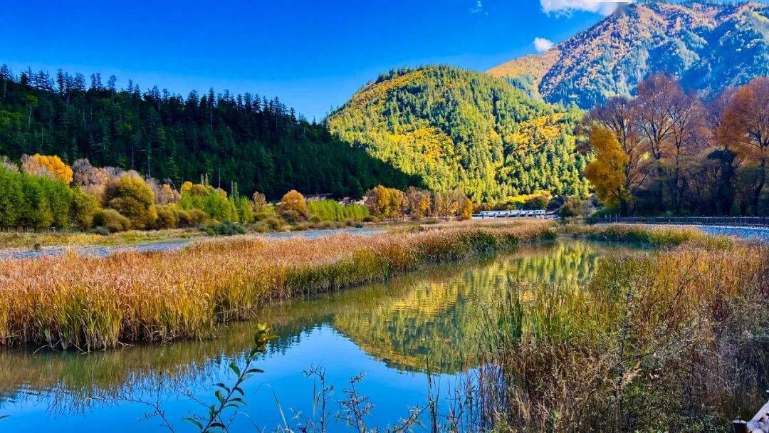 不游迭部,怎知秋色如许!_白云_秋景_美得