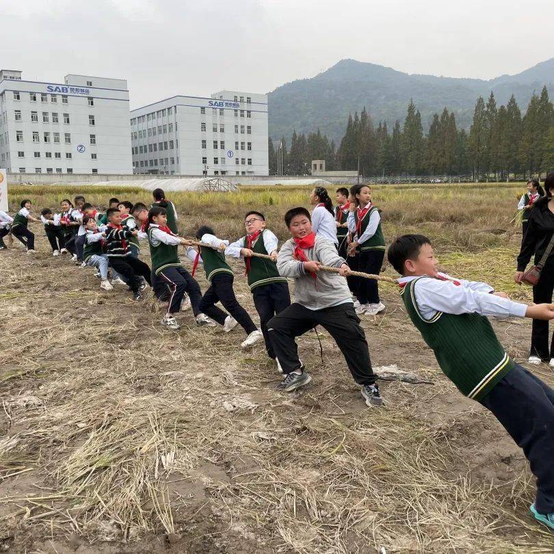 临海市尤溪镇中心校图片