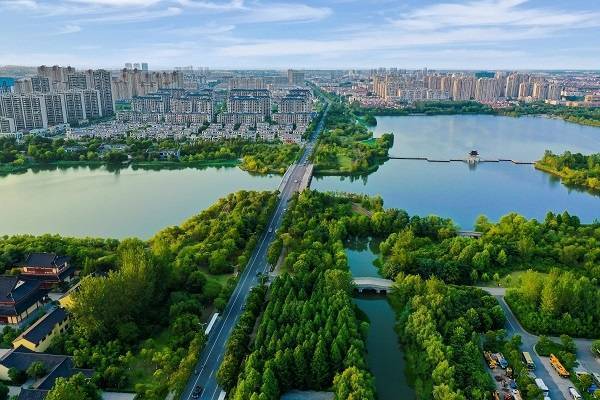 震旦鸦雀双湖公园双湖公园,花草树木浸染秋色,火红树叶下橙黄小草满布