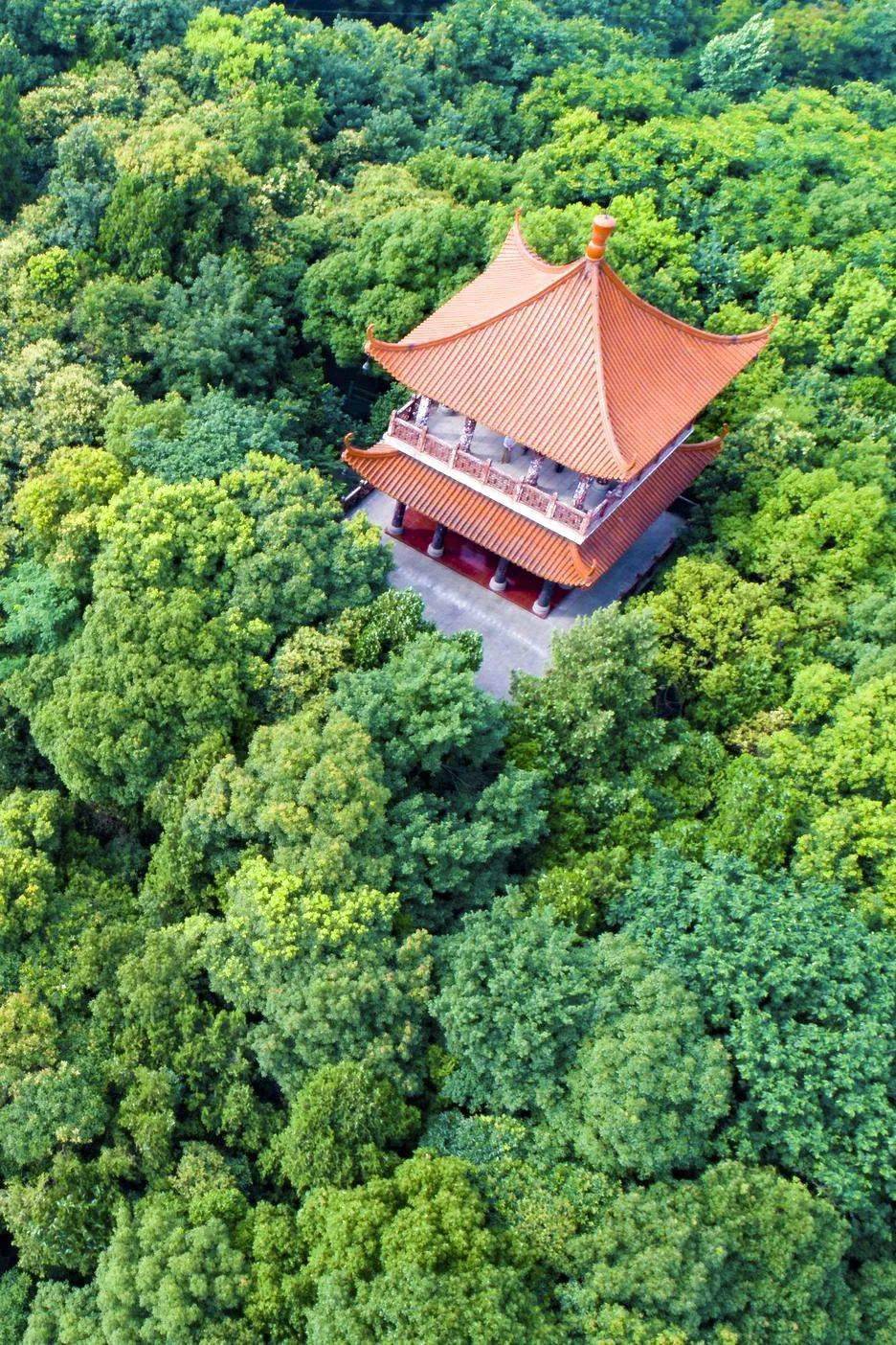 这是一首宝武人写给青山的诗……_鲁迅文学院_长江_武钢
