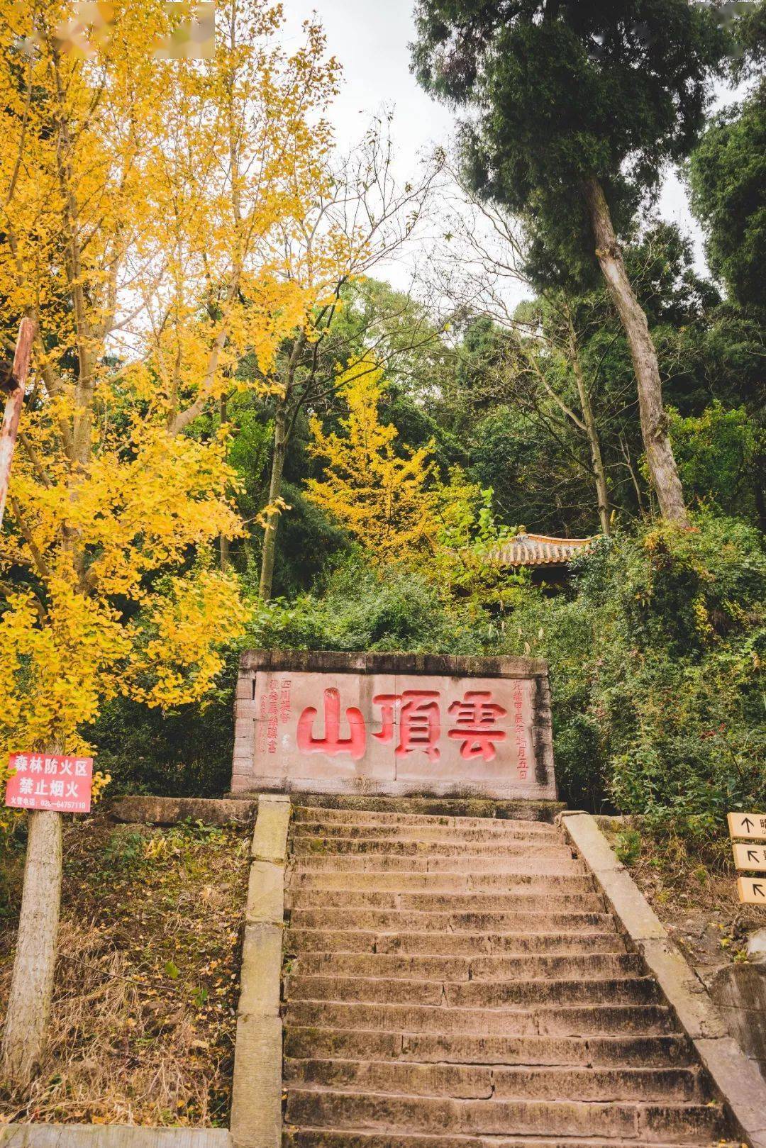 「云顶石城」1104周六—— 赏银杏,古道徒步,千年古刹烧香祈福