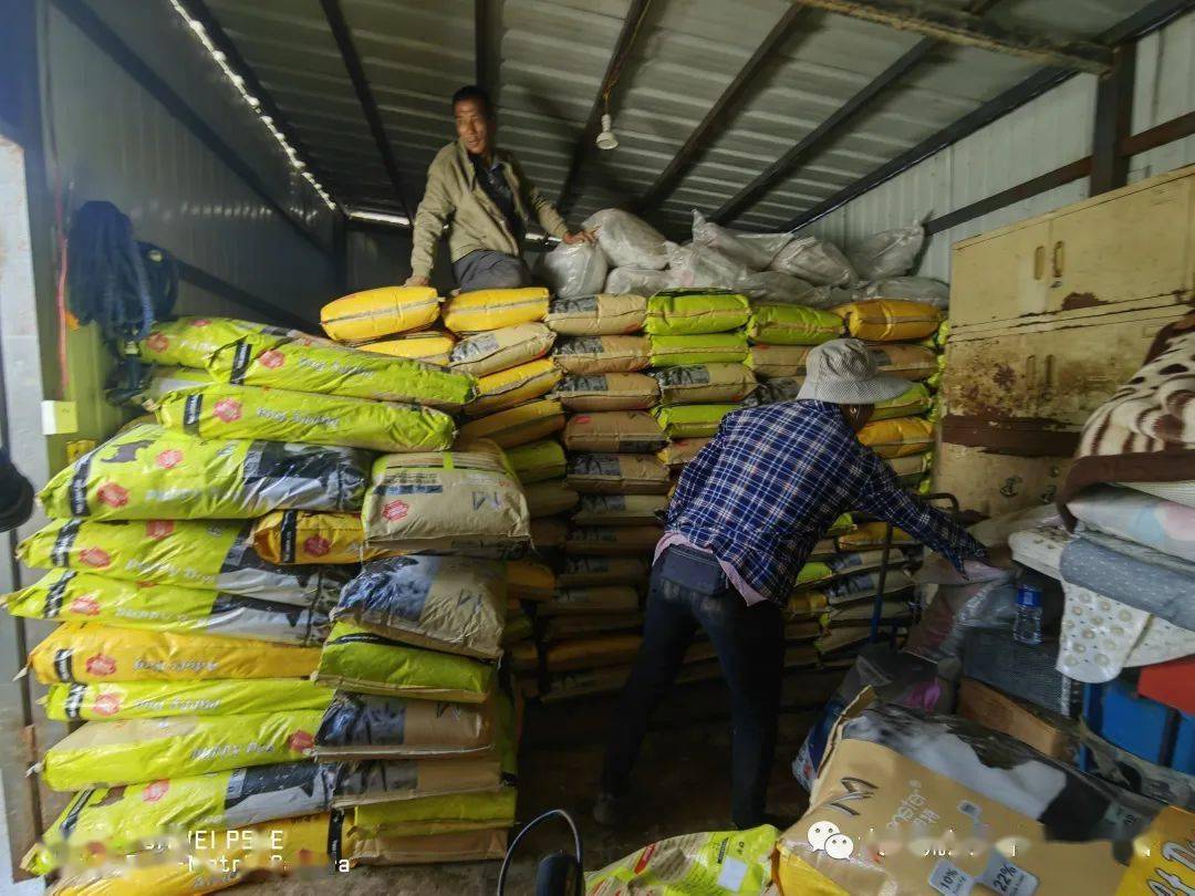 但是平时里,罗哥和小佳也会每半个月去买一次超市里面卖不完又处理不