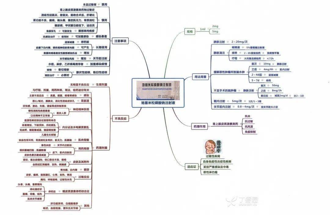 院前急救思维导图图片