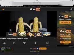 在cornhub的页面之上,我们不难发现网站的经营者为了传播这份基础的